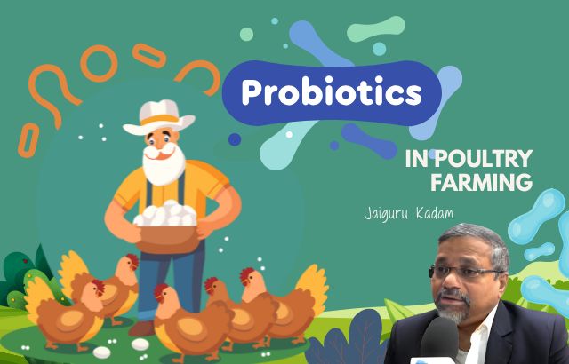 The Growing Market for Probiotics in Poultry Farming: How the Probiotic Revolution is Shaping the Future of Poultry Health