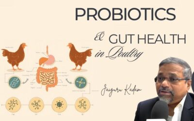 Probiotics and Gut Health in Poultry: A Deep Dive into Green Innovation in Agriculture