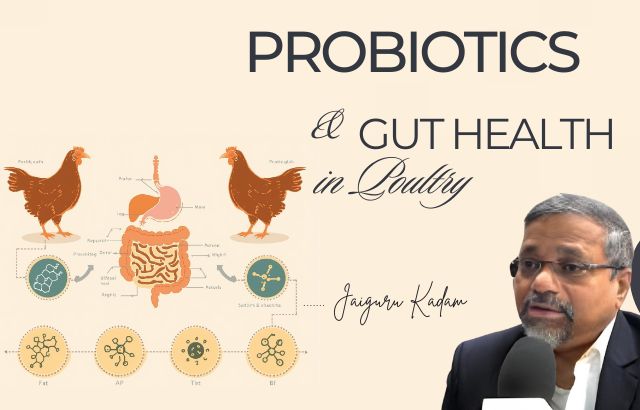 Probiotics in Poultry: Green Innovation in Agriculture