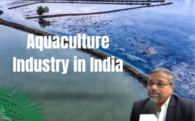 Aquaculture in India: A Rising Tide of Opportunity and Challenges