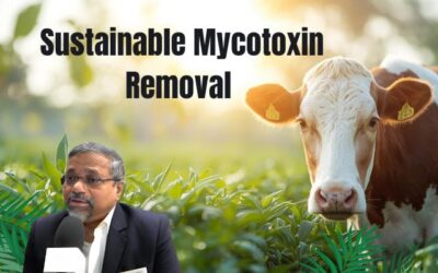 Green Innovation in Animal Feed: A Guide to Sustainable Mycotoxin Removal with Jaiguru Kadam
