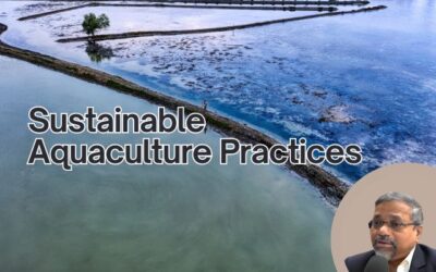 Sustainable Aquaculture Practices: Ensuring Healthy Ecosystems and Parasite Control