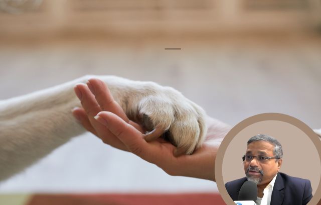 Green Innovation in Pet Care: