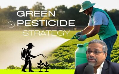 Green Strategy Framework for the Pesticide Industry: A Fail-Safe Decision-Making Approach