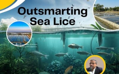 Outsmarting Sea Lice: How Sustainable Farm Design Beats Stronger Treatments