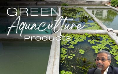 Green Innovation in Aquaculture: Pioneering Sustainable Products for a Thriving Future