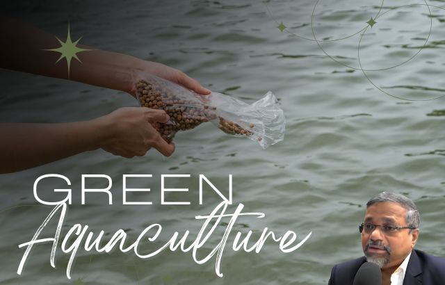 Green Innovation in Aquaculture: Pioneering Sustainable Products for a Thriving Future