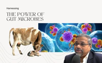 Harnessing the Power of Gut Microbes: The Next Frontier in