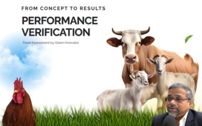 From Concept to Results: Evidence-Based Feed Assessment by Green Innovator Jaiguru Kadam