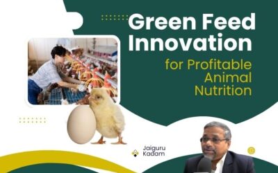 From Profit to Purpose How Animal Nutrition Businesses Can Align Financial Year-End Goals with Green Innovation