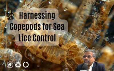 Harnessing Copepods for Sea Lice Control: Insights from Subject Matter Specialist Jaiguru Kadam