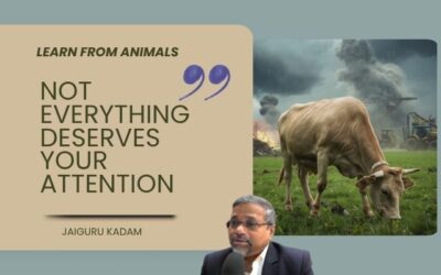 Learn from Animals: The Discipline of Selective Attention