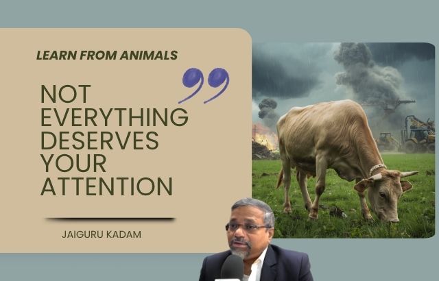 Learn from Animals: The Discipline of Selective Attention