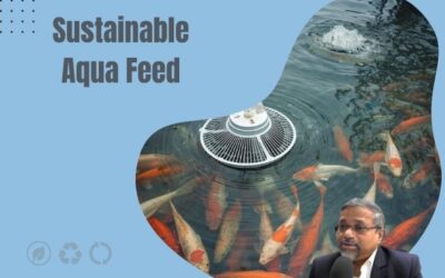 Seeing Beyond Immediate Emotions: A Green Innovator’s Guide to Sustainable Aquaculture Feed Supplements