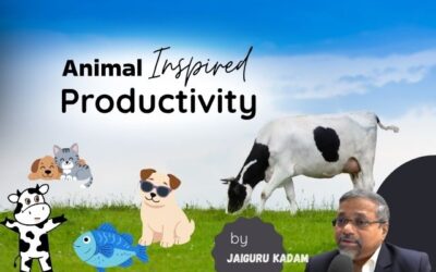Healthy Lifestyle Habits Supporting Productivity and Energy