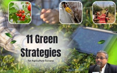 Innovate to Sustain: 11 Green Strategies for Agriculture Success