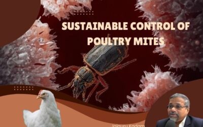 Sustainable Control of Poultry Mites: A Strategic Shift Led by Green Innovation