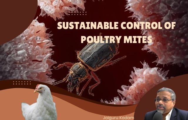 Sustainable Control of Poultry Mites: