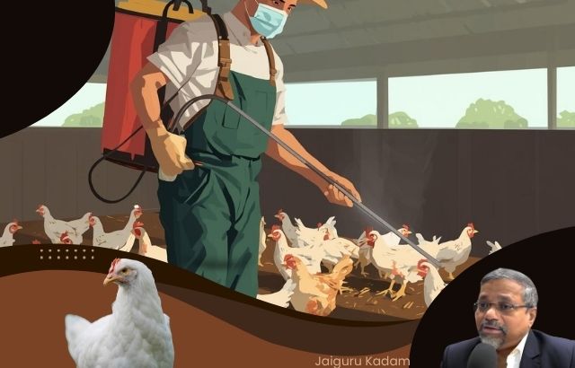 Farmer spraying or applying natural solution (protective gear, clean setup)