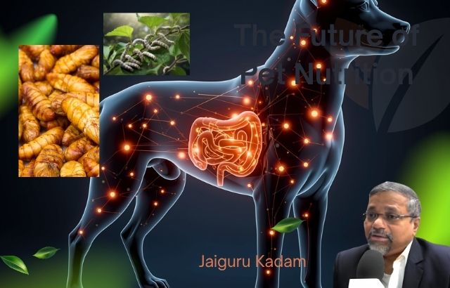 Future Pet Nutrition Trends Every Pet Owner Should Watch