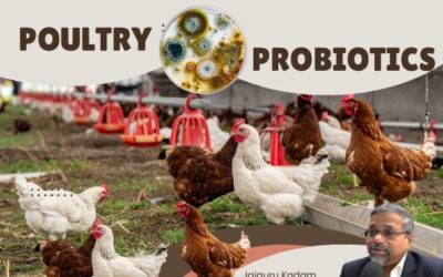 The Top Probiotic Strains You Need for Healthy Poultry: Insights from Jaiguru Kadam
