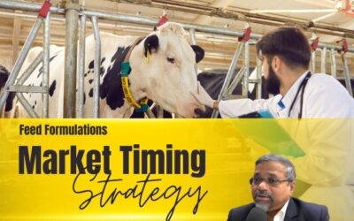 Market Timing Strategy Use in Feed Formulations and Animal Feed Supplement – A Green Future Perspective