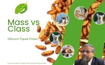 Understanding Target Audience: Mass vs Class – A Green Future Perspective