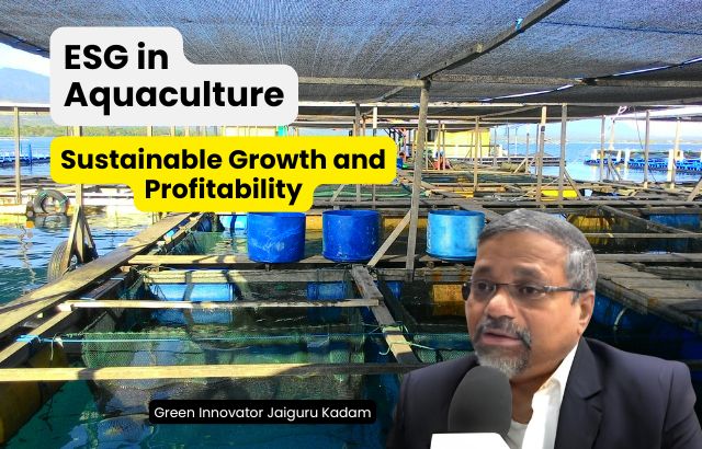 Sustainable Growth and Profitability