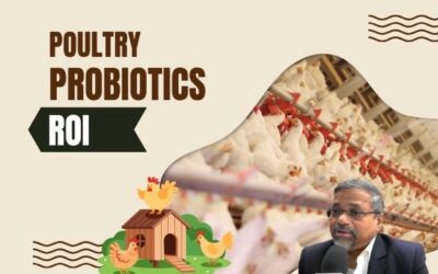 The Cost-Effectiveness of Probiotics in Poultry Farming: A Green Innovation Approach