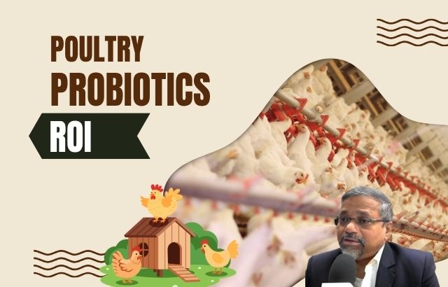 The Cost-Effectiveness of Probiotics in Poultry Farming: A Green Innovation Approach