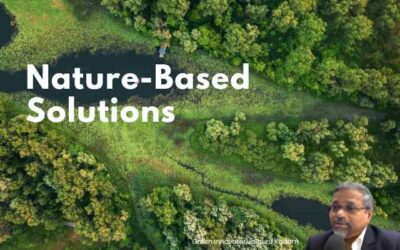 Nature-Inspired Design Systems: Nature-Based Solutions for a Resilient Future