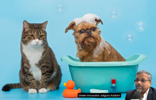 Eco-friendly pet products including reusable bowls and natural pet toys