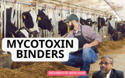 Mycotoxin Binders: Advancing Sustainable Animal Nutrition Through Green Innovation