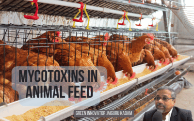 Mycotoxins in Animal Feed: Types, Sources, Risks, and Prevention Strategies